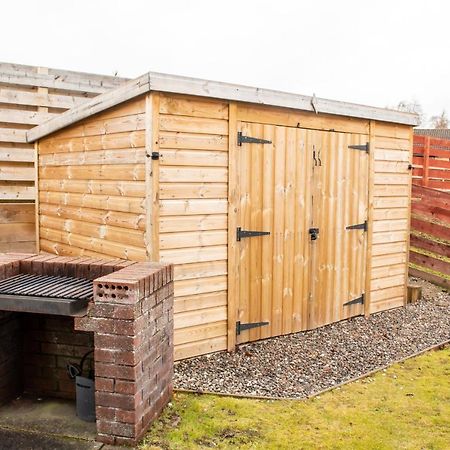 Pine Marten Cottage - Aviemore Kültér fotó